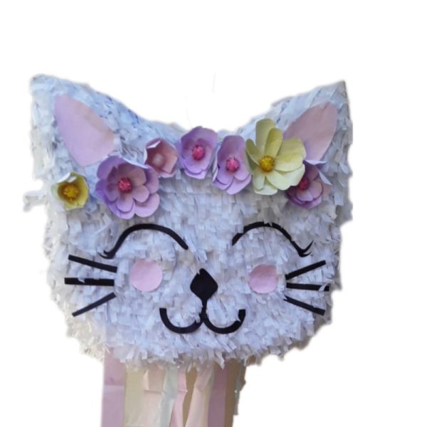 Cat pinata propnpinata