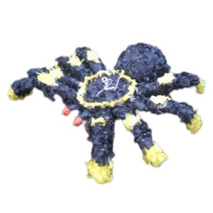 3D tarantula spider pinata